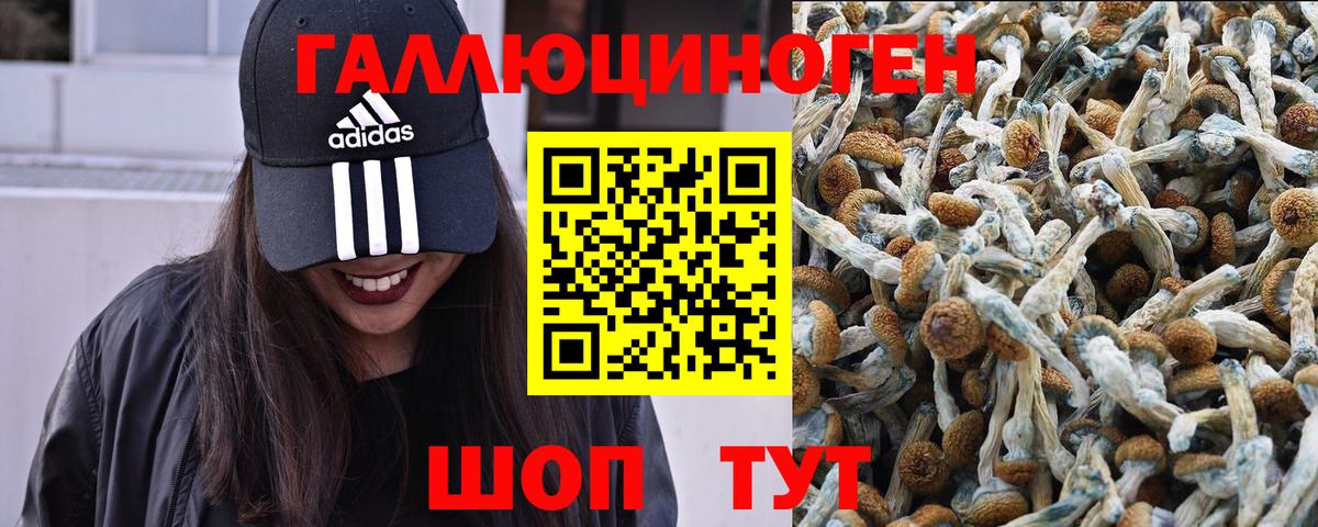 Галлюциногенные грибы MAGIC MUSHROOMS Люберцы